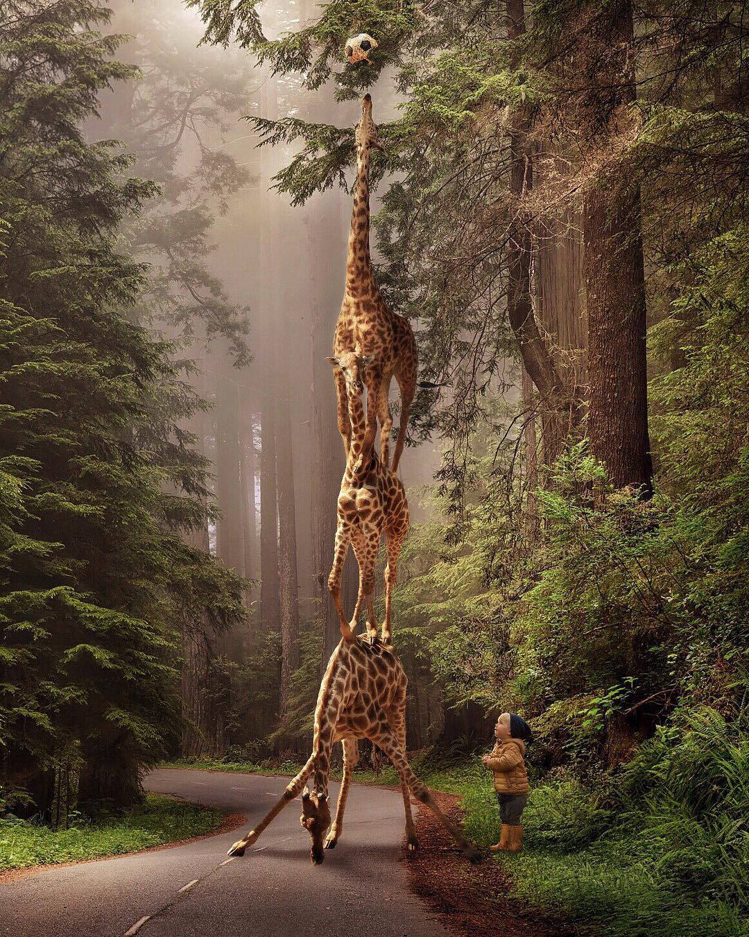 Казкові роботи Марселя ван Льюіта