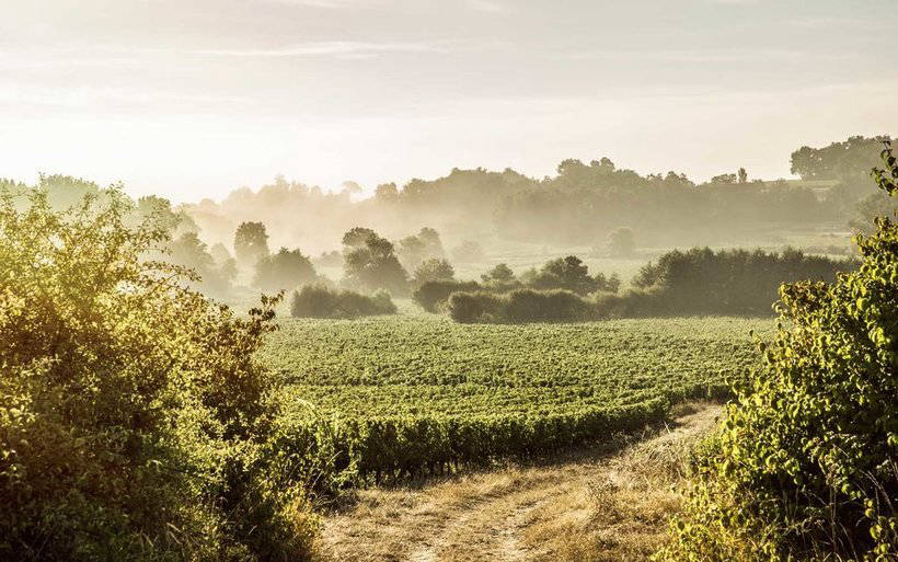 Blog - 10 amazing countries, whose nature was recognized as the brightest and most beautiful 10 amazing countries, whose nature was recognized as the brightest and most beautiful