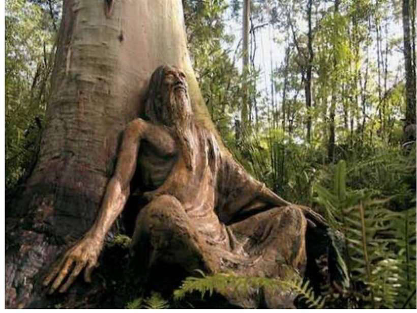 Австралійський парк чудес, в якому відчуваєш себе так, ніби потрапив у казку 