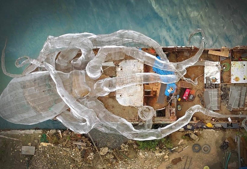 In the Caribbean, D created the most incredible artificial reef 