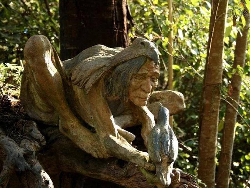 Австралійський парк чудес, в якому відчуваєш себе так, ніби потрапив у казку