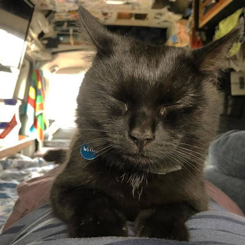 Блог - Хлопець звільнився з роботи, продав все і відправився в подорож зі своїм котом Хлопець звільнився з роботи, продав все і відправився в подорож зі своїм котом