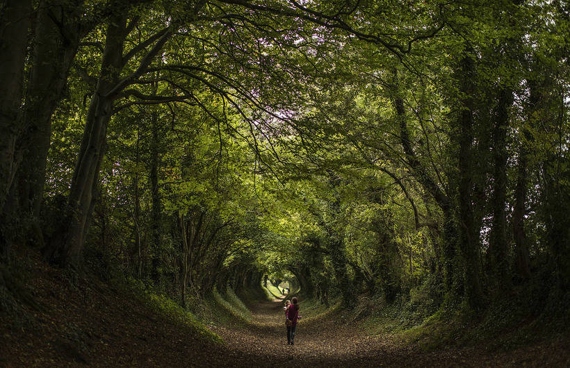 这些照片让人根本不想迎接冬天：年度最佳摄影师拍摄的秋日景色