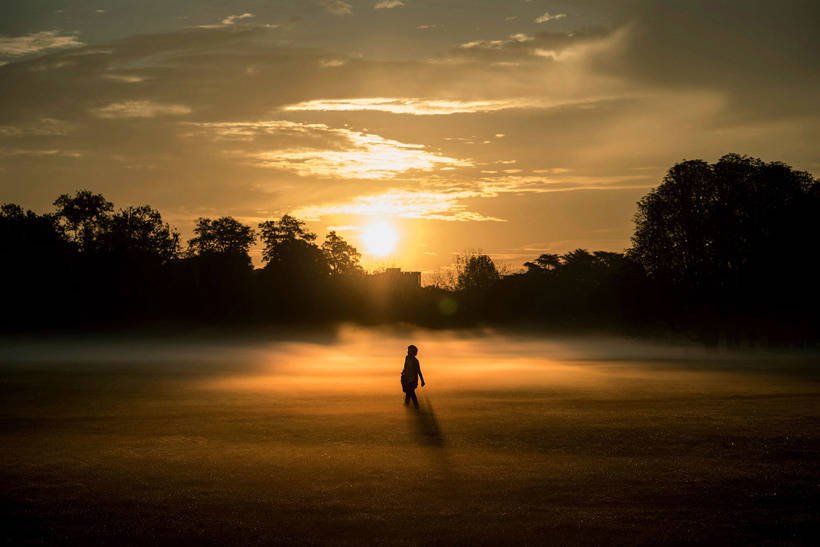 这些照片让人根本不想迎接冬天：年度最佳摄影师拍摄的秋日景色