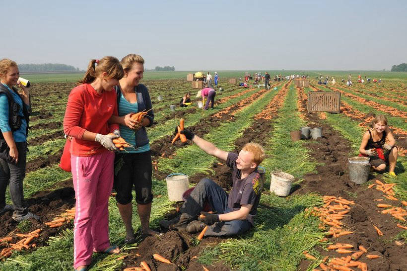 20 фото из прошлого, которые вызовут приятную ностальгию