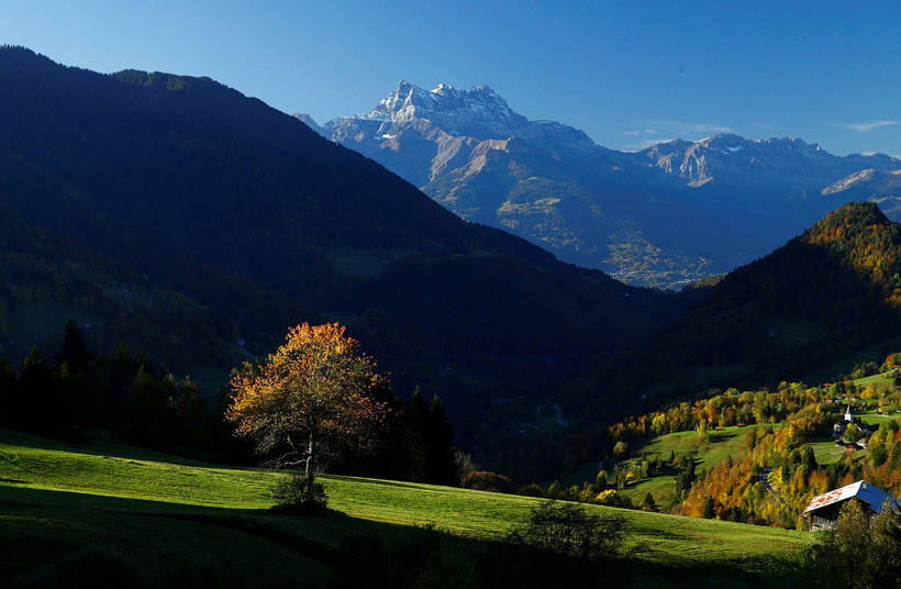 这些照片让人根本不想迎接冬天：年度最佳摄影师拍摄的秋日景色