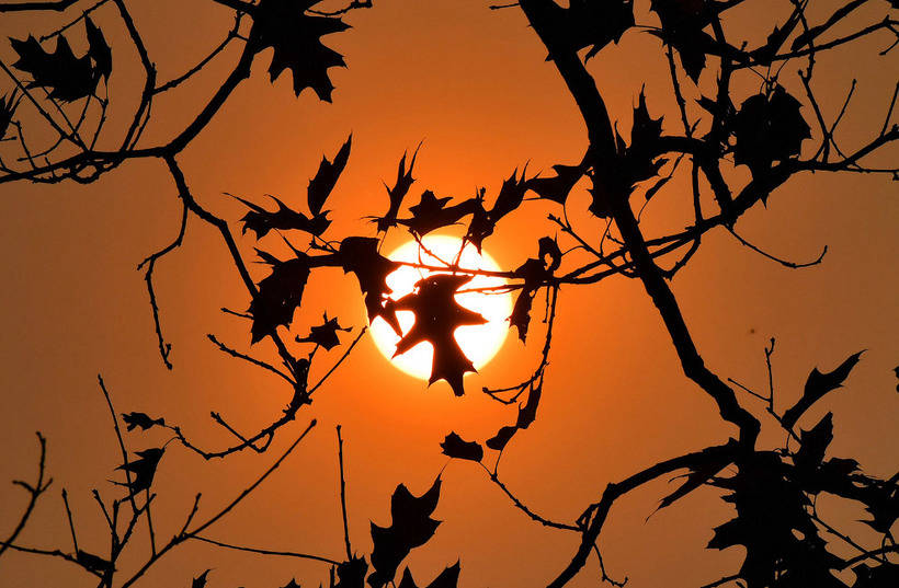 这些照片让人根本不想迎接冬天：年度最佳摄影师拍摄的秋日景色