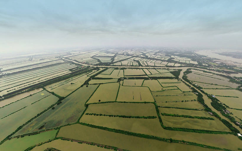 Блог - Мангрові лісу: унікальні екосистеми в небезпеці Мангровые леса: уникальные экосистемы в опасности