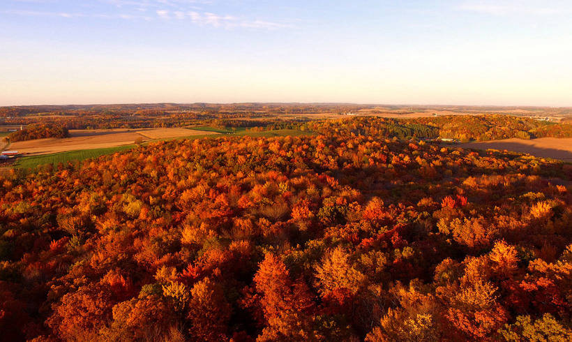 这些照片让人根本不想迎接冬天：年度最佳摄影师拍摄的秋日景色