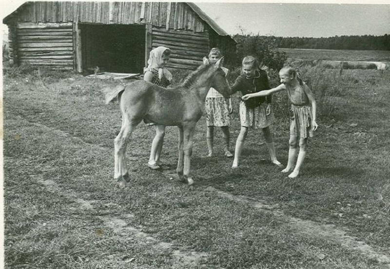 20 фото из прошлого, которые вызовут приятную ностальгию