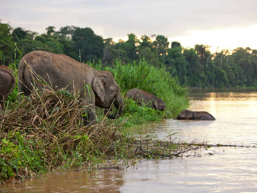 15 вдохновляющих фото Малайзии, после которых вы купите билет в эту страну 