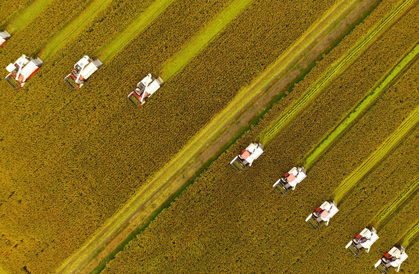 这些照片让人完全忘记了冬天的存在：年度最佳摄影师拍摄的秋天景色