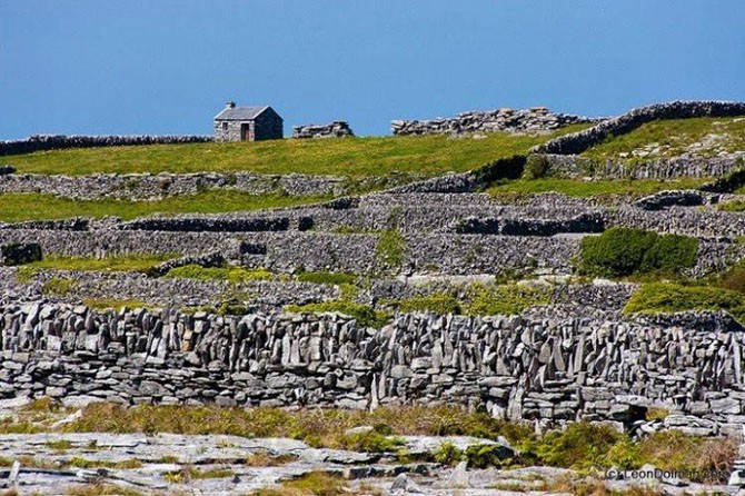 Steinmauern in Irland (15 Fotos)