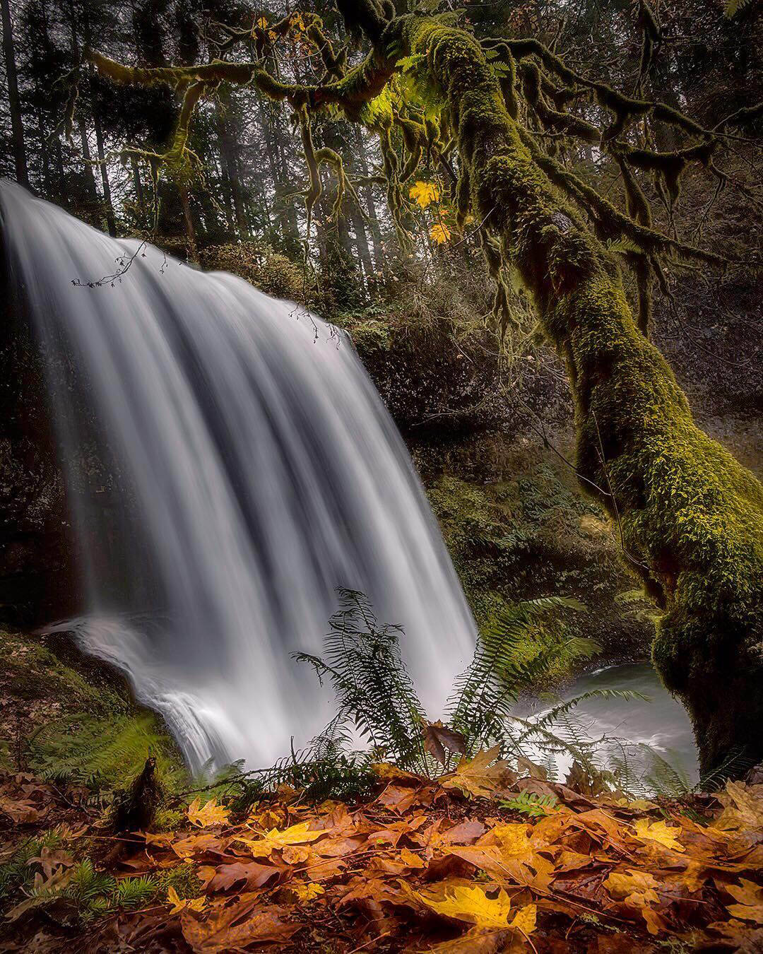 Природа Канады на снимках Stacy William Head