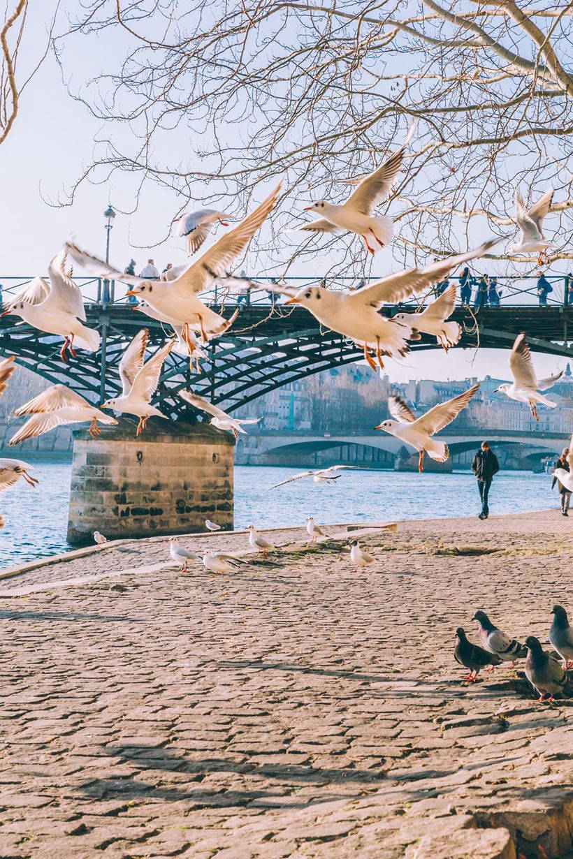 Блог - 22 места в Париже, фото которых сделают вас звездой Инстаграма 22 места в Париже, фото которых сделают вас звездой Инстаграма