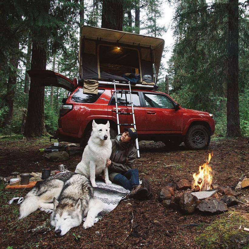 30 крутых фото из Project Van Life о том, к чему приводит страсть к путешествиям 