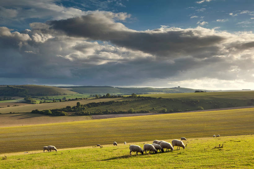 20 сногсшибательных пейзажей Великобритании, от красоты которых перехватывает дыхание