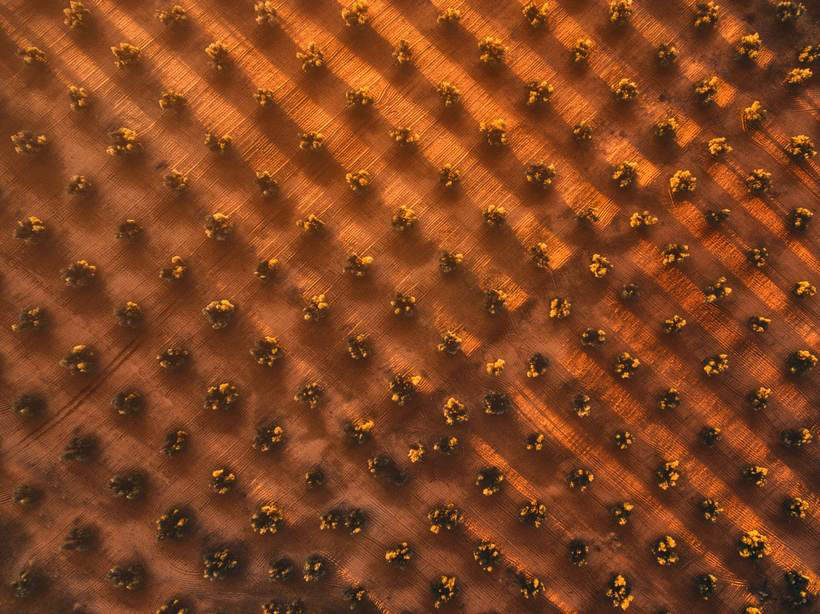 Блог - SkyPixel представив найкрутіші повітряні фото 2017 року SkyPixel представил самые крутые воздушные фото 2017 года