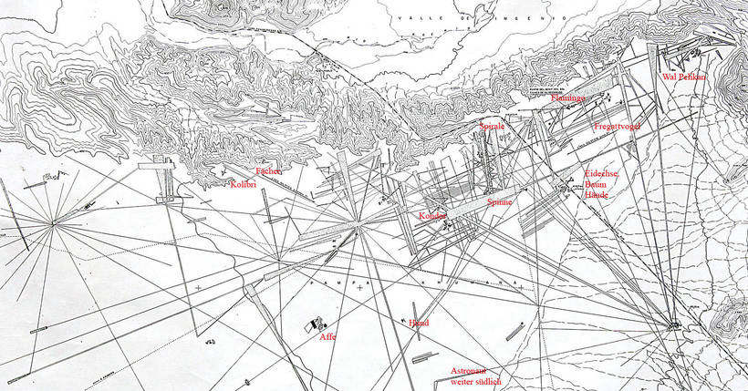 Геоглифы Наски: величайшая тайна истории, которую ученым пока не удалось раскрыть