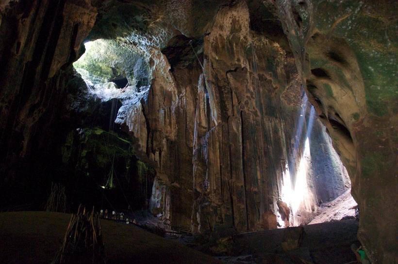 Blog - $ 3000 per kilogram: why the inhabitants of the East so appreciate the salangan nest 3000 долларов за килограмм: почему жители Востока так высоко ценят гнезда саланган