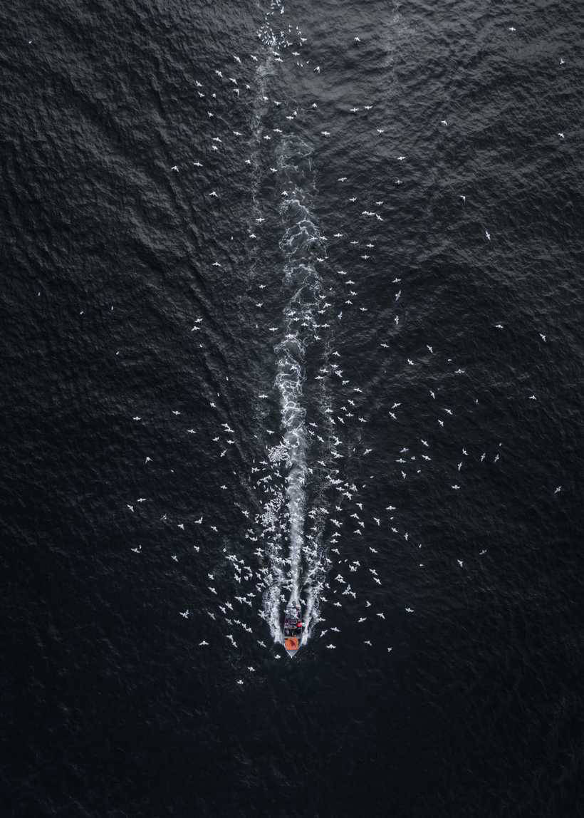 Блог - SkyPixel представив найкрутіші повітряні фото 2017 року SkyPixel представил самые крутые воздушные фото 2017 года