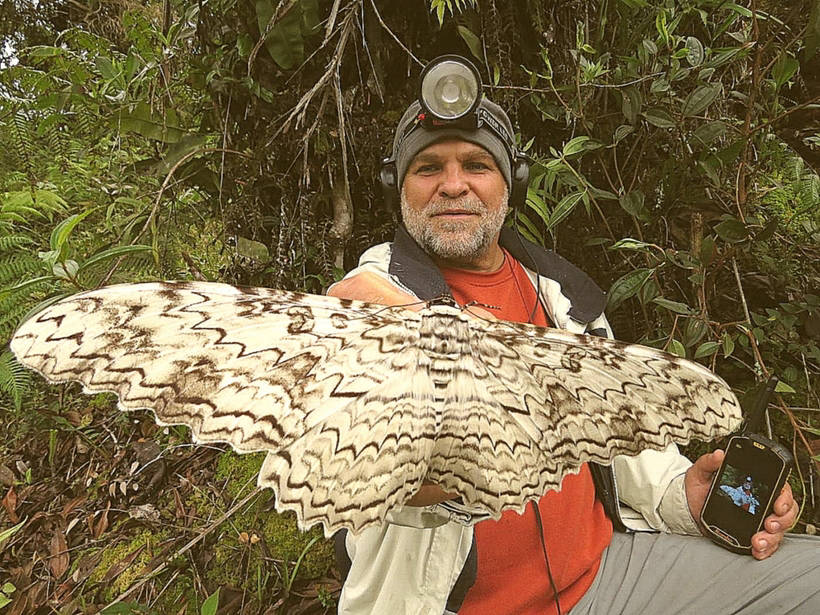 Блог - Рідкісні гіганти: як виглядають 10 найбільших метеликів в світі Редкие гиганты: как выглядят 10 самых больших бабочек в мире