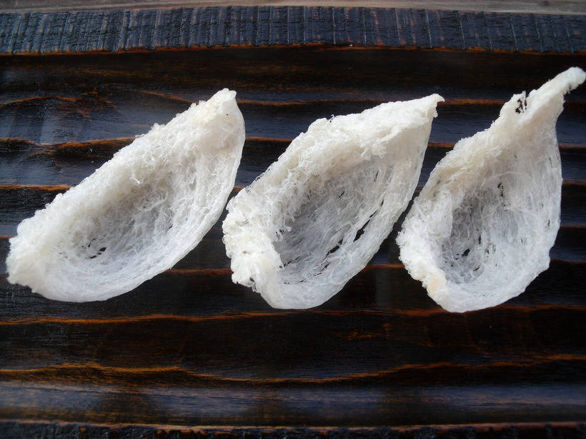 Blog - $ 3000 per kilogram: why the inhabitants of the East so appreciate the salangan nest 3000 долларов за килограмм: почему жители Востока так высоко ценят гнезда саланган