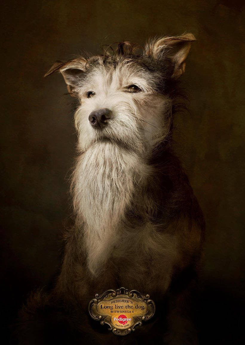 Блог - 18 рекламных кампаний, которые были признаны лучшими в 2017 году 18 рекламных кампаний, которые были признаны лучшими в 2017 году