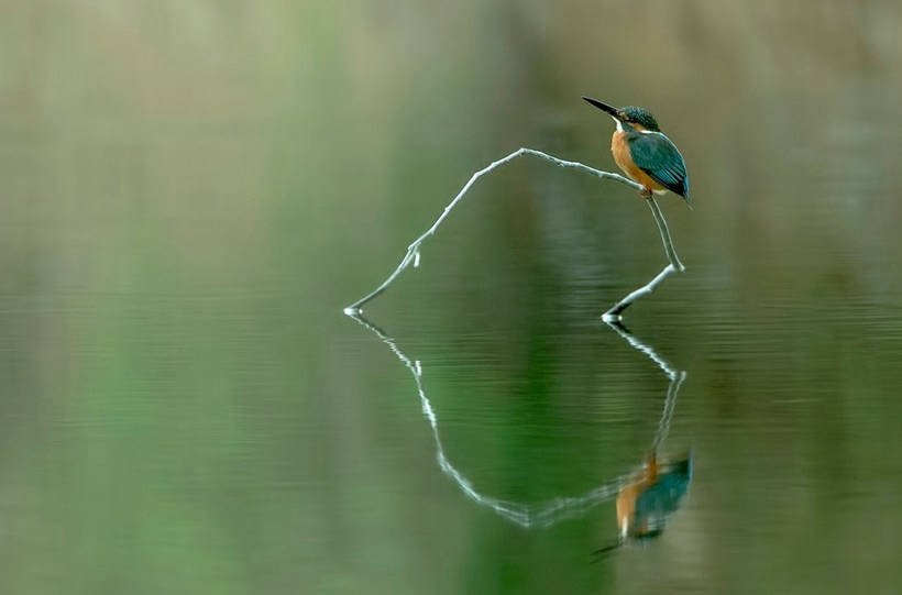 Blog - 20 photos on which it is not clear where the reflection, and where reality 20 фотографий, на которых непонятно, где отражение, а где реальность