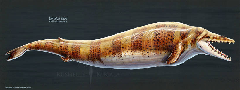 Долина китов в Египте: когда-то в Сахаре плескалось теплое море