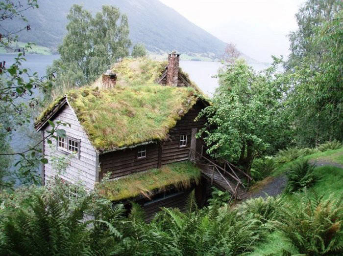 Сказочные скандинавские домики: почему на их крышах растет трава