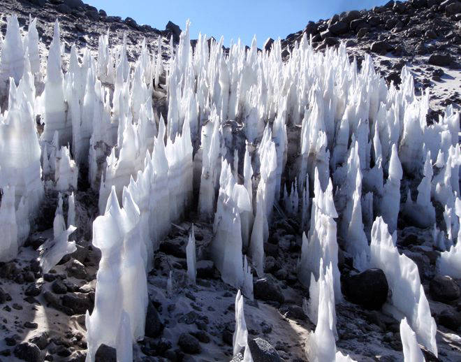 кальгаспори