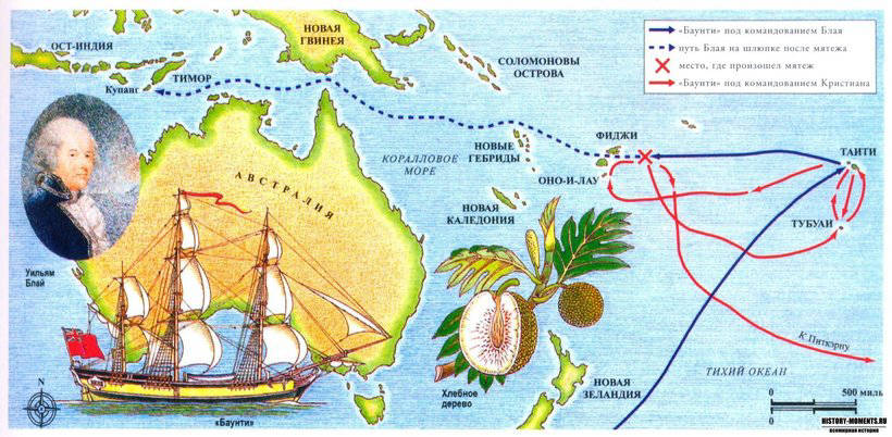 Питкэрн: самый странный остров Великобритании, где люди отбывают трудовую повинность Питкэрн: самый странный остров Великобритании, где люди отбывают трудовую повинность