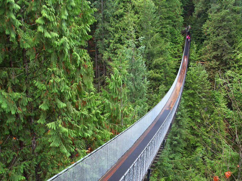 23 photos incroyables qui vous donneront envie de voyager au Canada