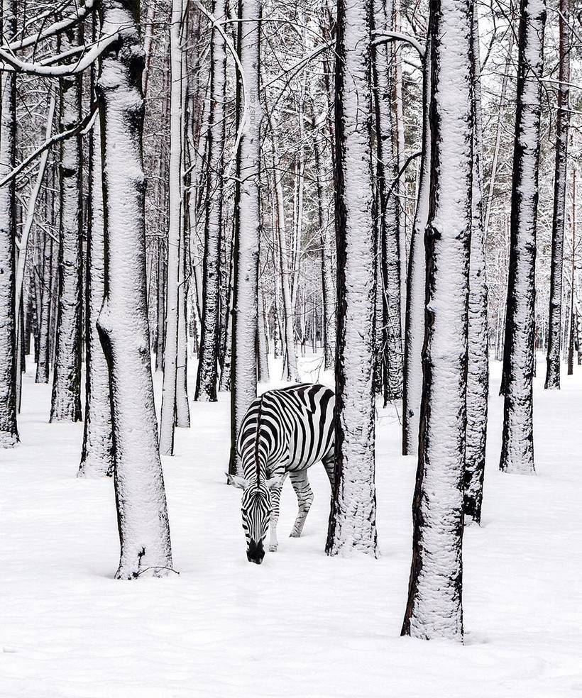 Художник превращает реальный мир в сказочные пейзажи, на которые нельзя насмотреться Художник превращает реальный мир в сказочные пейзажи, на которые нельзя насмотреться