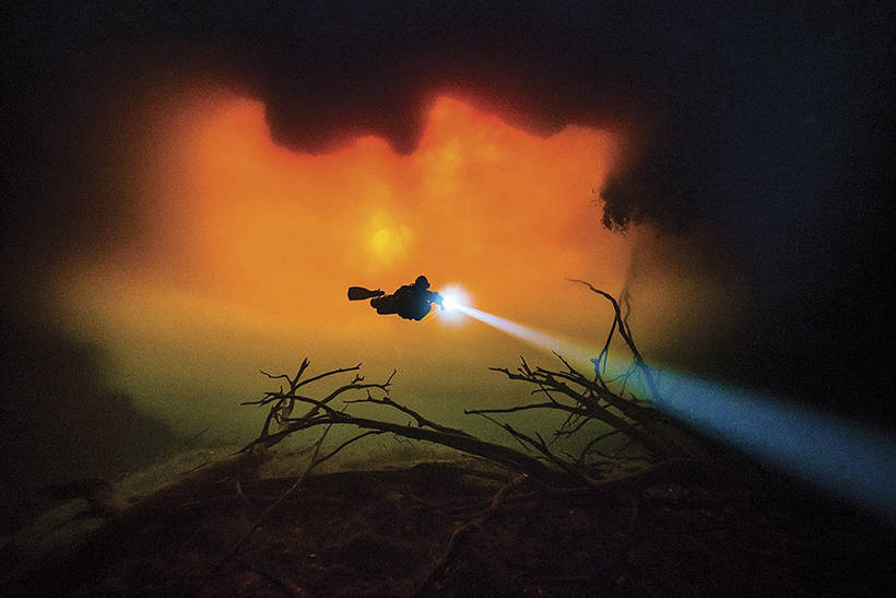 Изумительные снимки, победившие в конкурсе подводной фотографии Scuba Diving Изумительные снимки, победившие в конкурсе подводной фотографии Scuba Diving