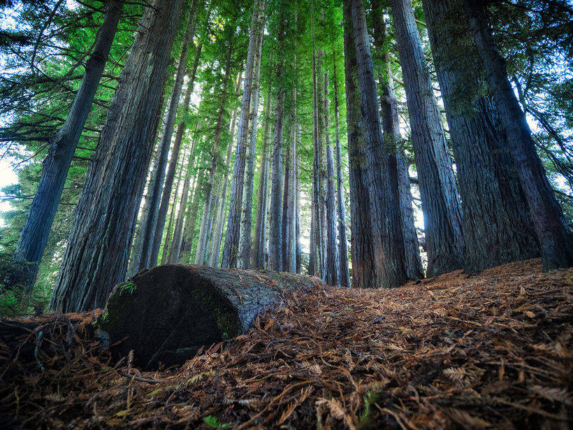 Gdzieś na krawędzi świata: Nowa Zelandia