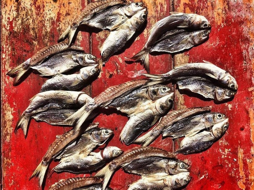 11 потрясающих фото, претендующих на звание «Instagram-снимок года» 11 потрясающих фото, претендующих на звание «Instagram-снимок года»