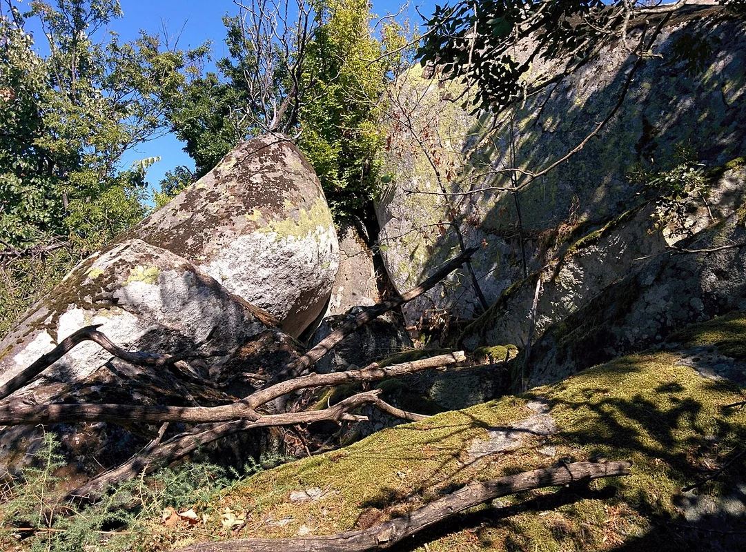 ブルガリアの黒海沿岸にあるアルクティノ湖」 loading=