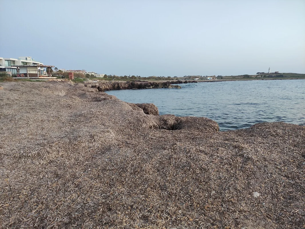 Vogelschau in der Arena des Zoos von Paphos