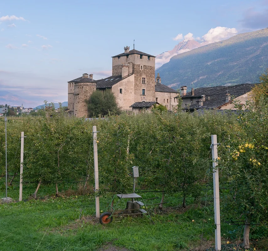 Wnętrze zamku Sarriod de la Tour z zachowanymi meblami z XVI wieku, grafikami i drewnianą dekoracją ścian