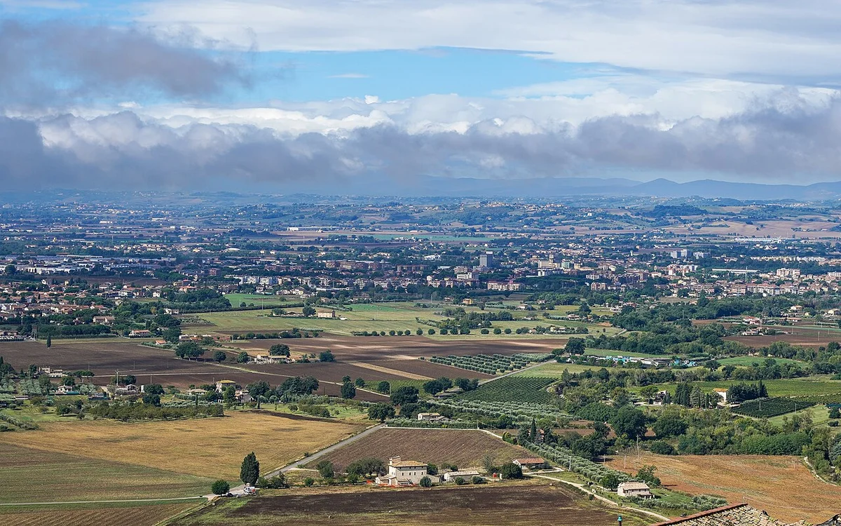 Миланское ризотто со сгаафраном