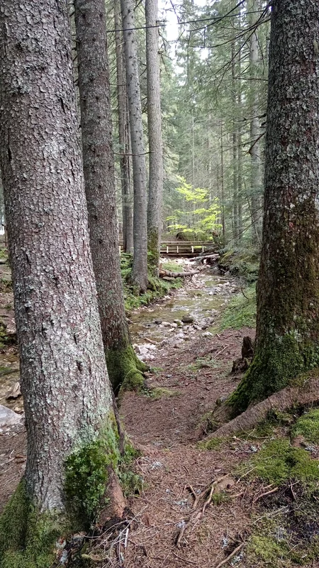Центр Жабляка зимой з заснеженими дахами будинків