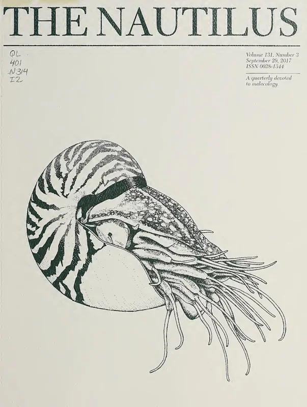 NEMO म्यूजियम में पानी से जुड़ा इंटरैक्टिव क्षेत्र, जहाँ बच्चे सेतुओं एवं बाँधों का संचालन करते हैं