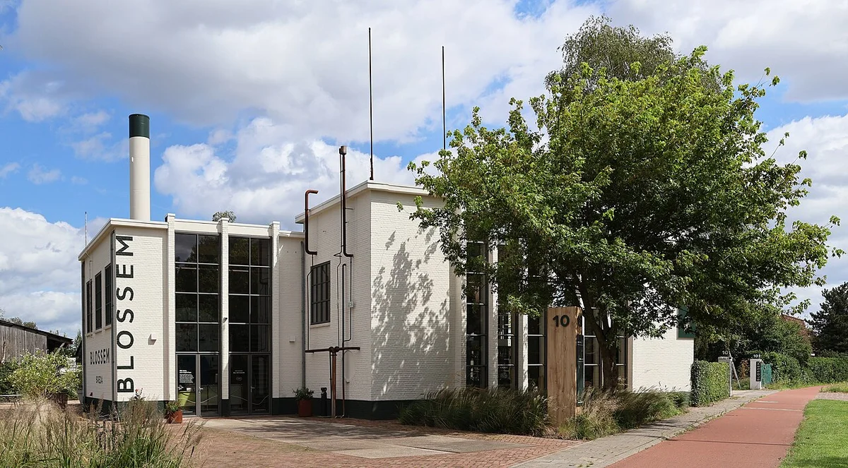 Интерьер собора Гроте-Керк с витражами и готической архитектурой