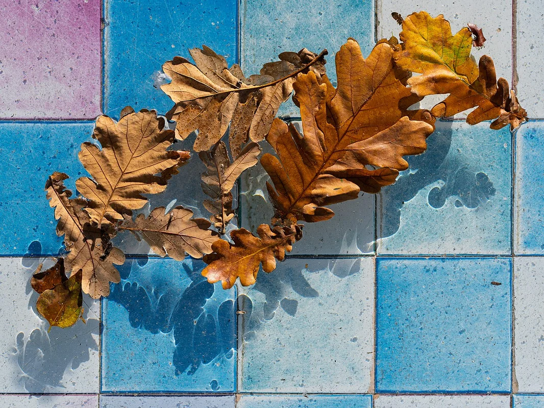 Point de location de vélos électriques dans le centre de Lisbonne