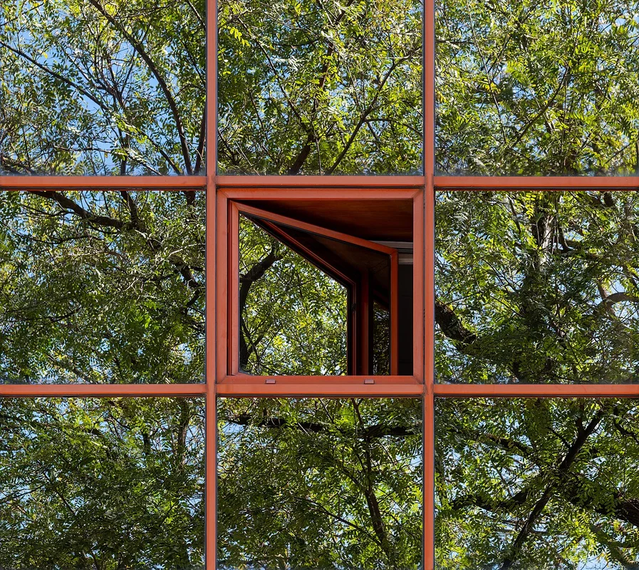 लिस्बन के समुद्री उद्यान में मैगलन पिंगविन