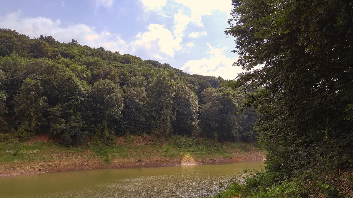 Пешеходные тропы на острове Мала-Рыбарская-Ада с деревьями и водой