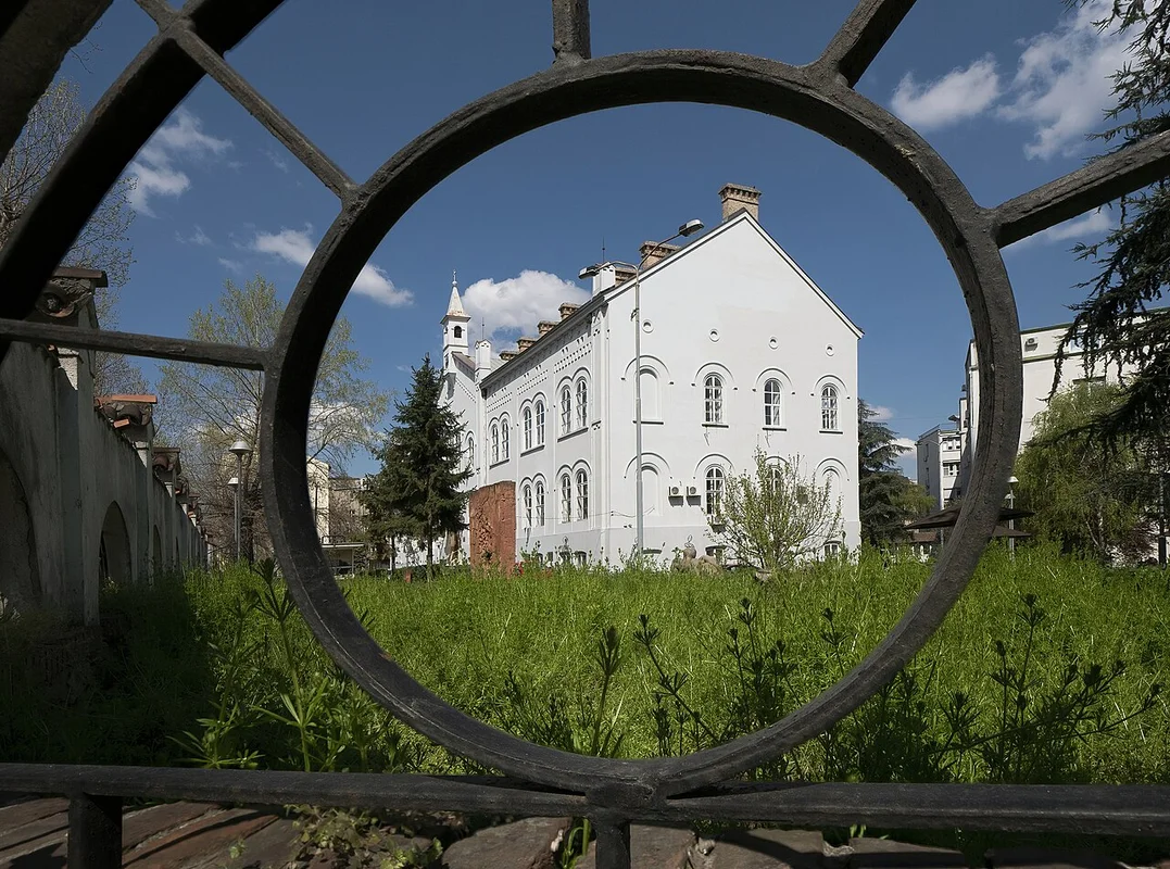 Виноградники Жупы в период сбора урожая, закат над холмами