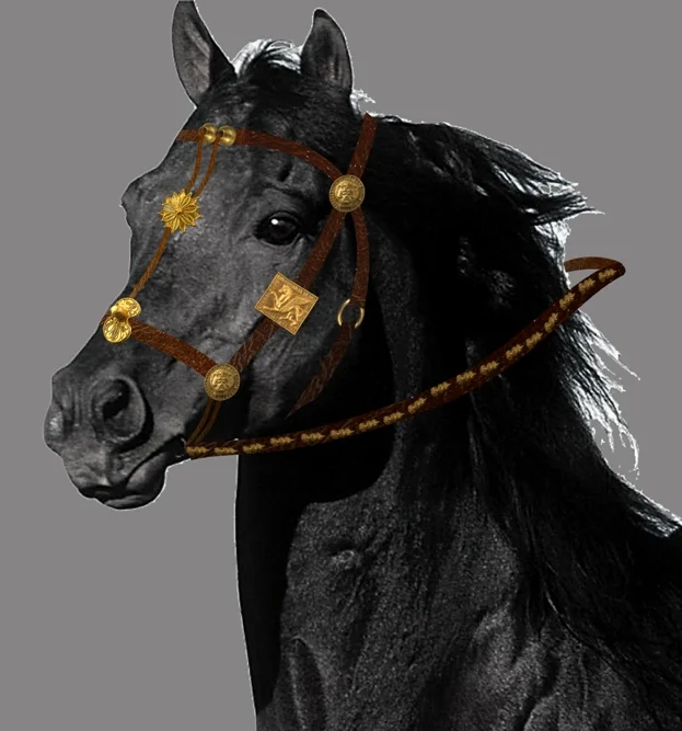 Студениця та монастирі Рашки: паломницький маршрут із Кралева